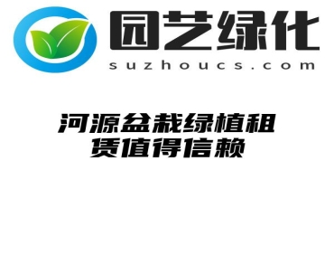 河源盆栽绿植租赁值得信赖