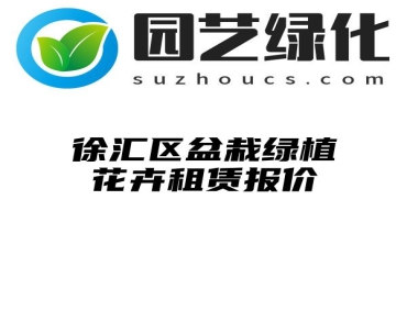 徐汇区盆栽绿植花卉租赁报价