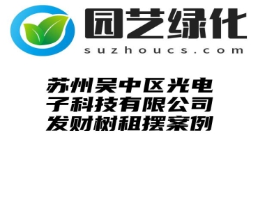 苏州吴中区光电子科技有限公司发财树租摆案例