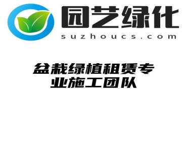 盆栽绿植租赁专业施工团队