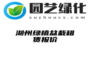 湖州绿植盆栽租赁报价