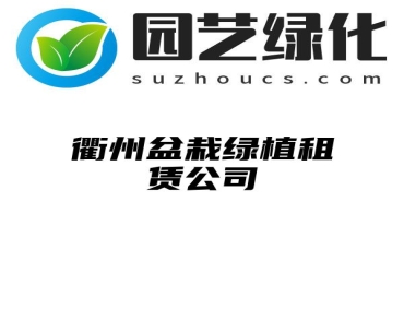 衢州盆栽绿植租赁公司