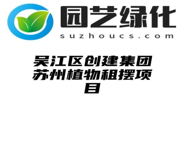 吴江区创建集团苏州植物租摆项目