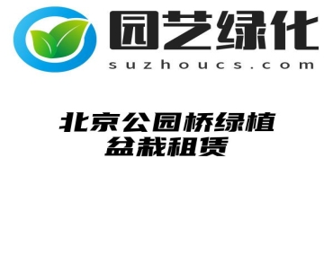 北京公园桥绿植盆栽租赁