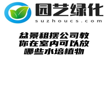 盆景租摆公司教你在室内可以放哪些水培植物