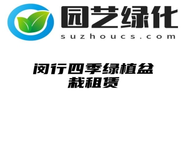 闵行四季绿植盆栽租赁