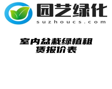 室内盆栽绿植租赁报价表