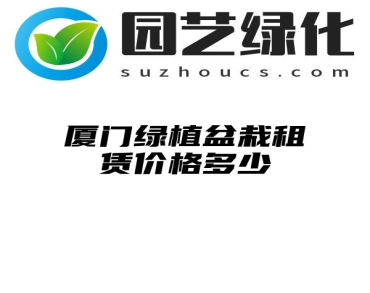 厦门绿植盆栽租赁价格多少