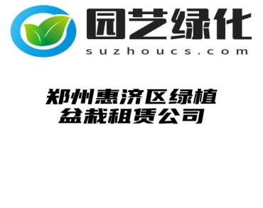 郑州惠济区绿植盆栽租赁公司