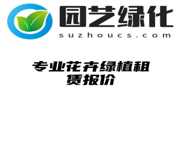 专业花卉绿植租赁报价