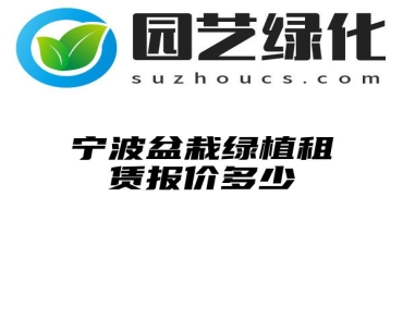 宁波盆栽绿植租赁报价多少