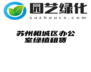 苏州相城区办公室绿植租赁