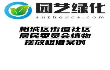 相城区街道社区居民委员会植物摆放租借案例