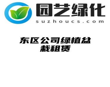 东区公司绿植盆栽租赁