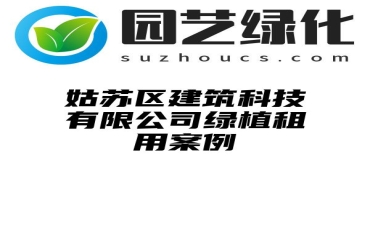 姑苏区建筑科技有限公司绿植租用案例