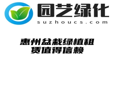 惠州盆栽绿植租赁值得信赖