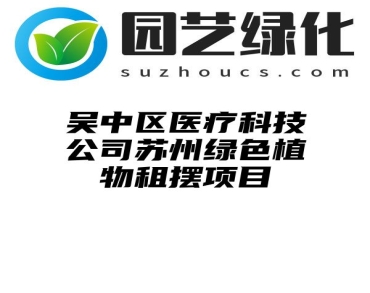 吴中区医疗科技公司苏州绿色植物租摆项目