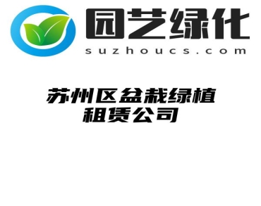 苏州区盆栽绿植租赁公司