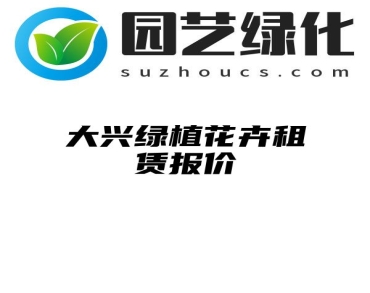 大兴绿植花卉租赁报价