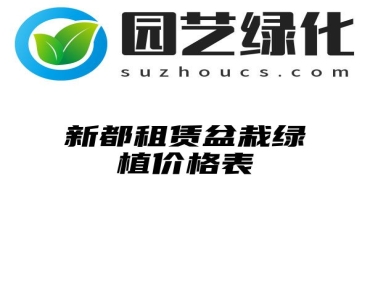 新都租赁盆栽绿植价格表