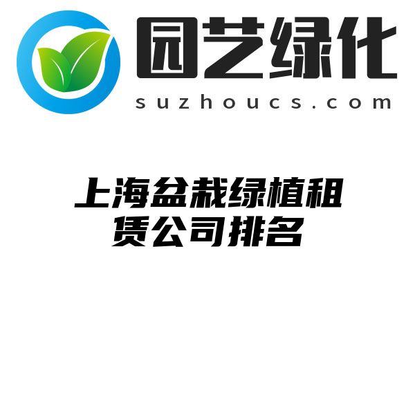 上海盆栽绿植租赁公司排名